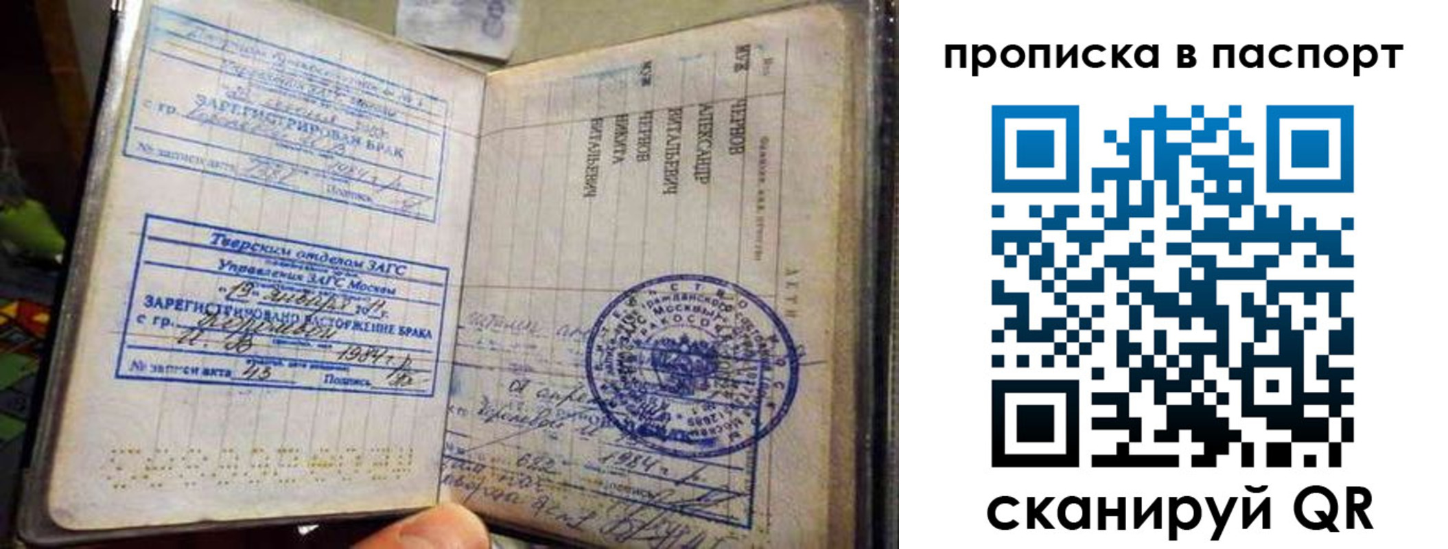 прописка поиск в Приморском крае